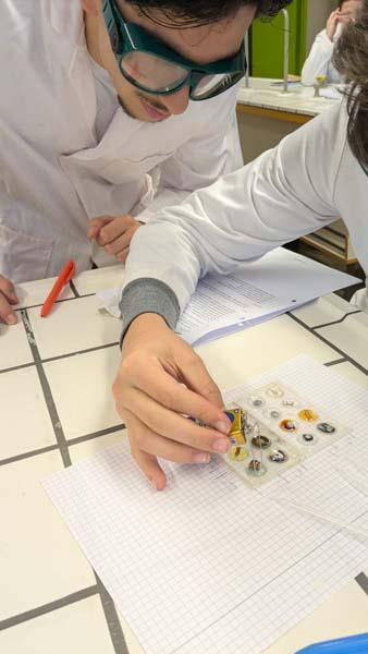 Atheneum Malle Batterijen getest