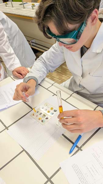 Atheneum Malle Batterijen getest