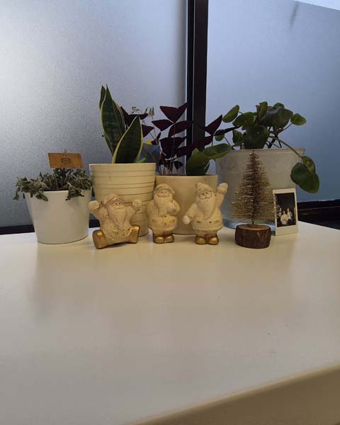 Atheneum Malle Uitbreiding schoolbib