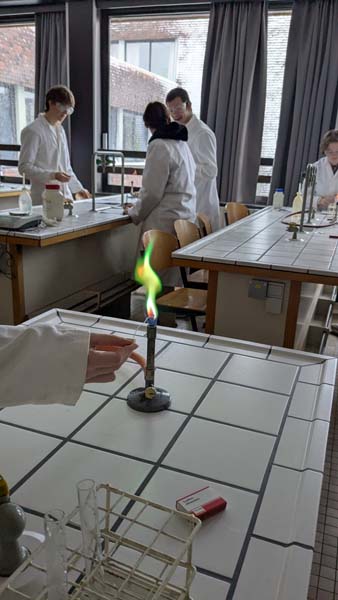 Atheneum Malle Vlamspectroscopie