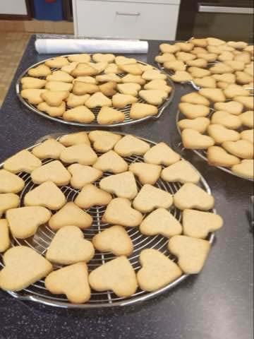 Atheneum Malle Koekjes tegen eenzaamheid