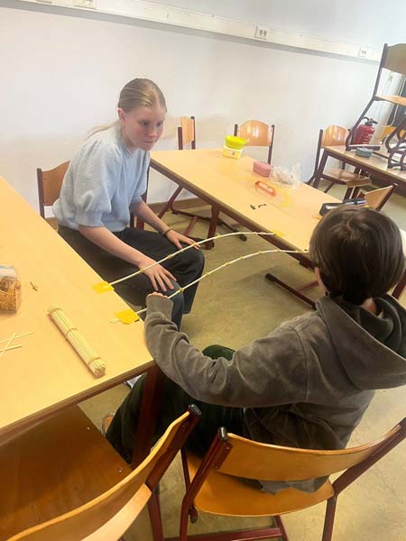 Atheneum Malle Didasco project een brug te ver