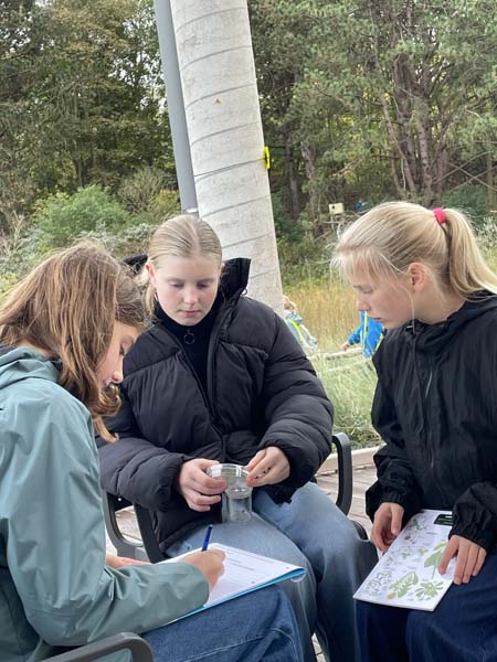 Atheneum Malle GWP1 aan zee